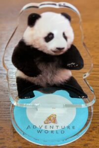 アドベンチャーワールド ガチャガチャ すくすくジャイアントパンダ アクリルスタンド