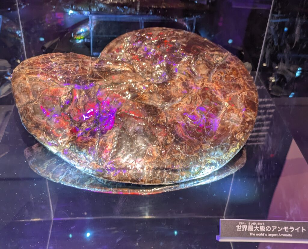 万博 パソナ アンモライト